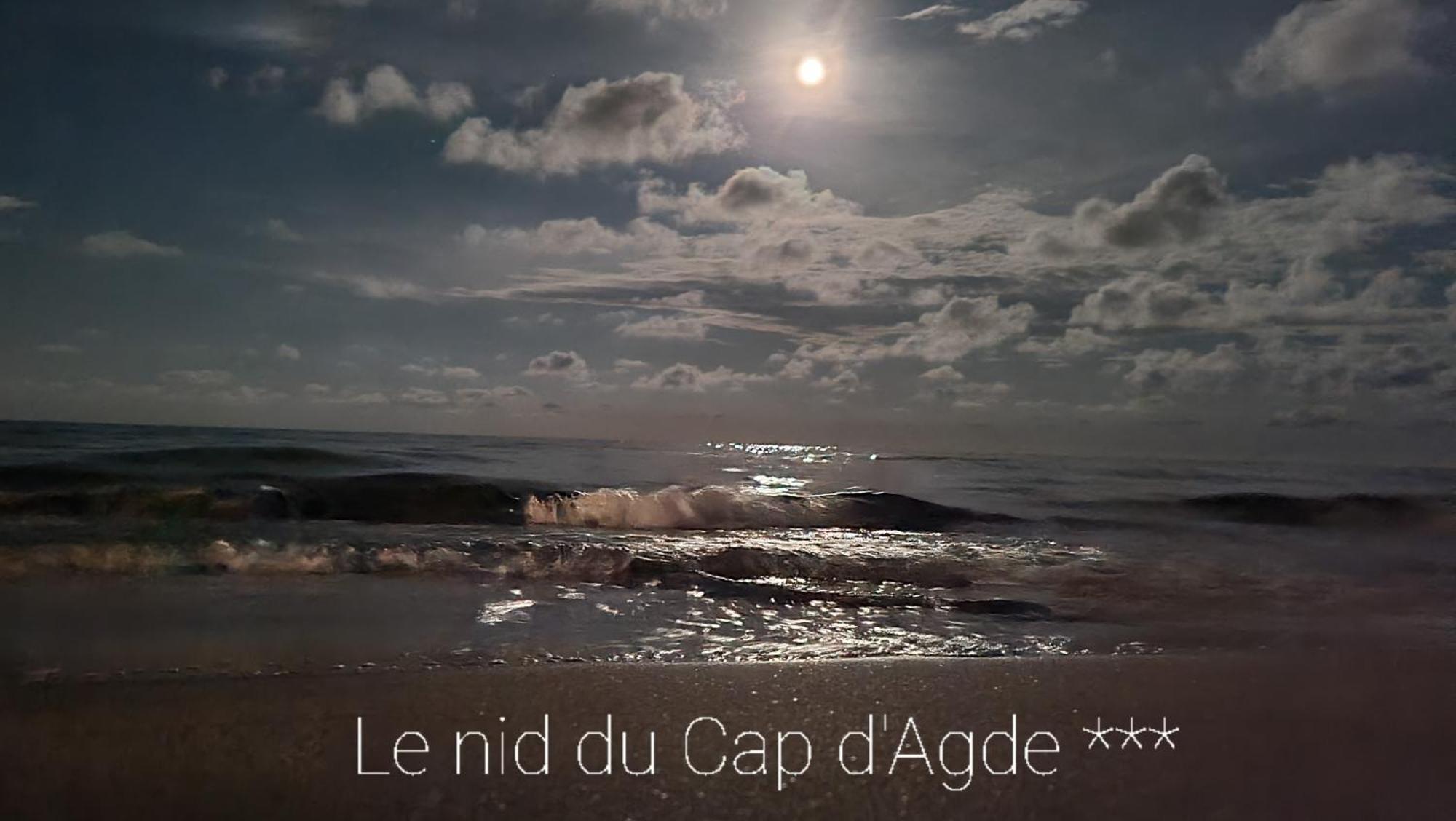 Residence De Standing La Pecherie Spacieux T3 Comme Un Cocon Familial Vue Mer Et Sur L'Avant Port Sur Le Bout Du Bout De Cap D'Agde Seule Cap En Occitanie 外观 照片