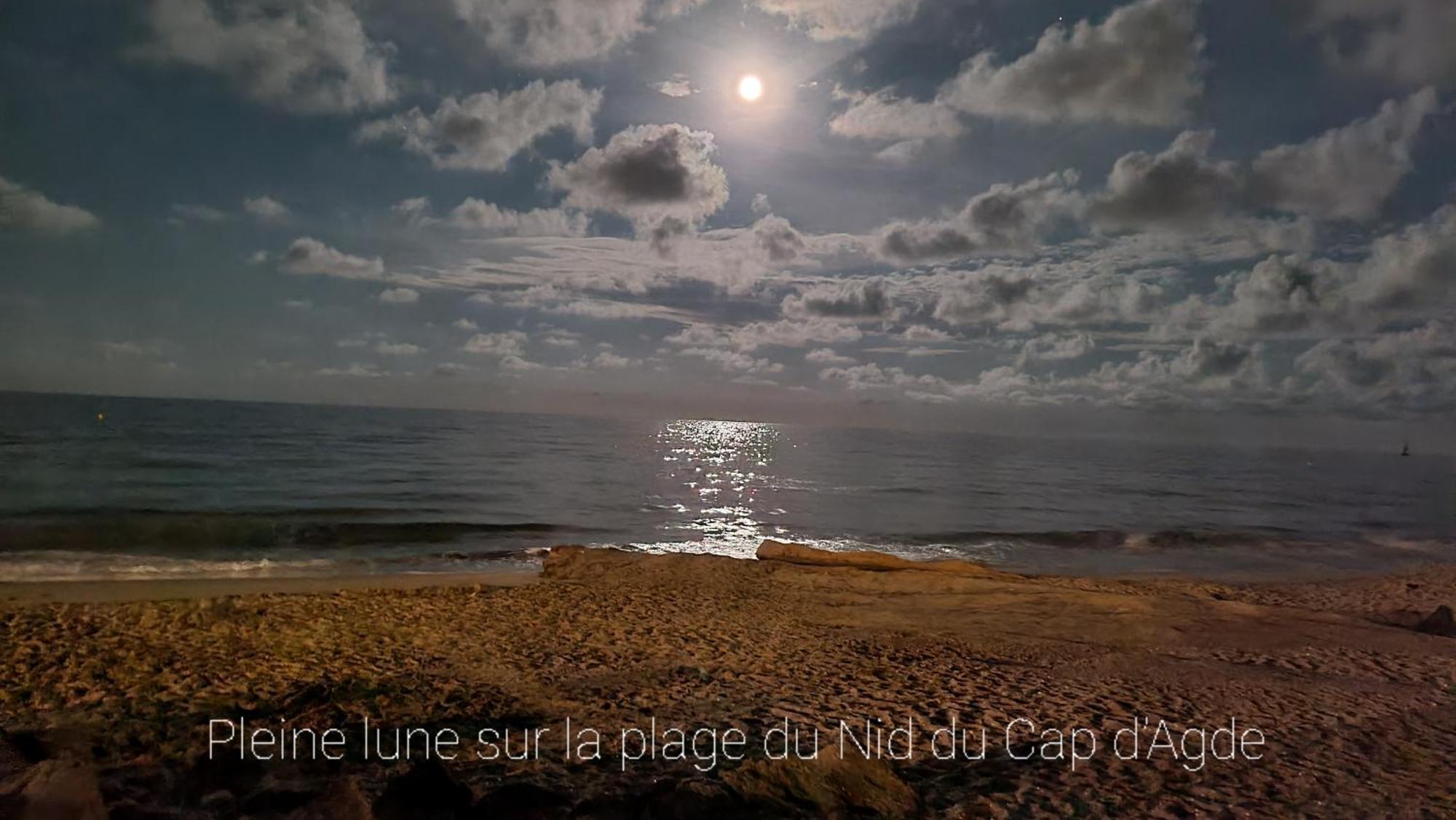 Residence De Standing La Pecherie Spacieux T3 Comme Un Cocon Familial Vue Mer Et Sur L'Avant Port Sur Le Bout Du Bout De Cap D'Agde Seule Cap En Occitanie 外观 照片
