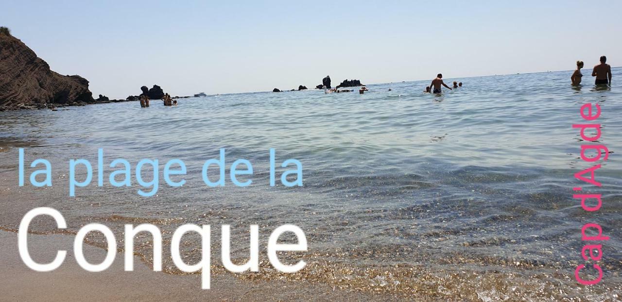 Residence De Standing La Pecherie Spacieux T3 Comme Un Cocon Familial Vue Mer Et Sur L'Avant Port Sur Le Bout Du Bout De Cap D'Agde Seule Cap En Occitanie 外观 照片